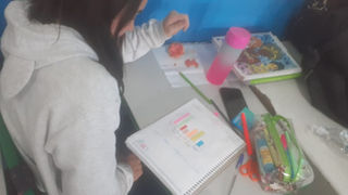 CULTURA EM MOVIMENTO: A brasilidade numa pesquisa de campo