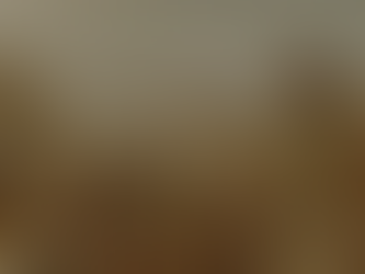 Um profeta milagroso