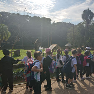 Excursão ao Zoológico
