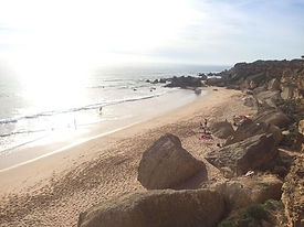 WhatsApp Image 2026-01-24 at 10.08.52.jpeg