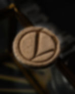 Thumbnail: Close-up of a round beige suede watch adjustment cushion applied to a caseback