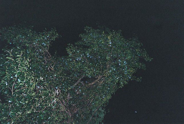 R1-01277-030A.JPG