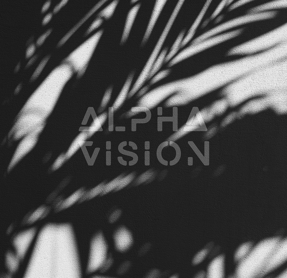 Alpha Vision logo engraved on a dark textured wall