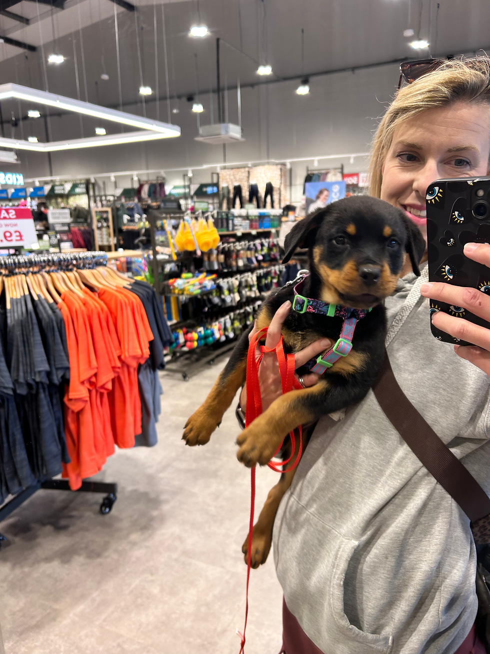 What We Did During Our Puppy's First Week Home (And Why)