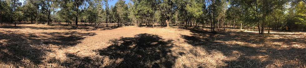 Land-Clearing-Pic.jpg
