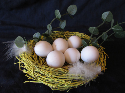 Butler's Bobwhite Quail Eggs - 30 pack | My Vxw Site M61n2g 1