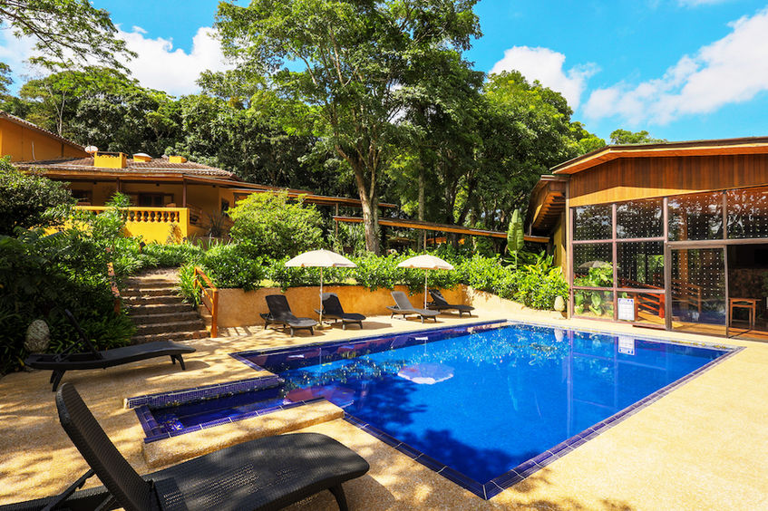 Piscina exterior con tumbonas en medio del bosque en el Hotel Fazenda Morros Verdes Ecolodge en Ibiúna SP