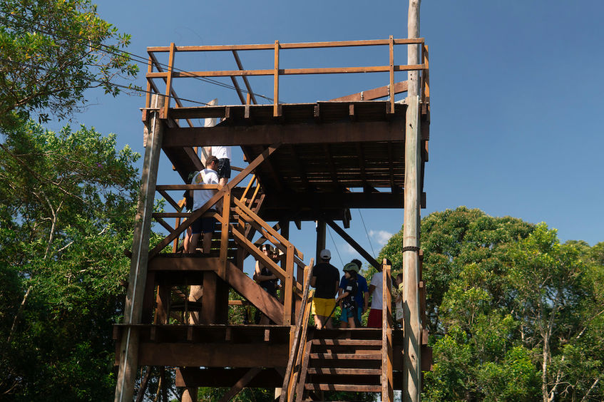 Estrutura para acesso de tirolesa em meio a floresta no Hotel Fazenda Morros Verdes Ecolodge em Ibiúna SP