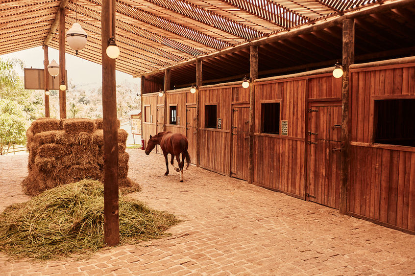 Cavalo marrom de costas em ambiente com feno na Hípica Werner Haberkorn do Hotel Fazenda Morros Verdes Ecolodge em Ibiúna SP