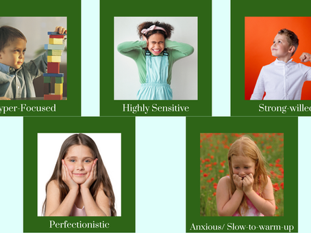 Potty Training Struggles? 5 Types of Kids Who Struggle and Parent-Approved Tips