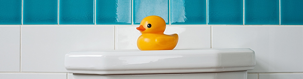 Duck NeverScrub