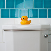 Bathroom Tiles