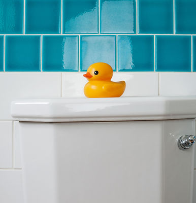 Rubber ducky on repaired toilet tank lid