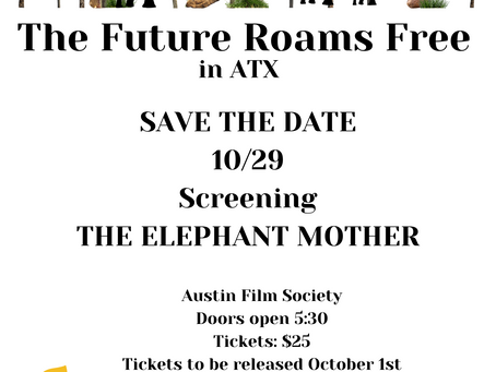 Save the Date! The Elephant Mother Screening in the ATX
