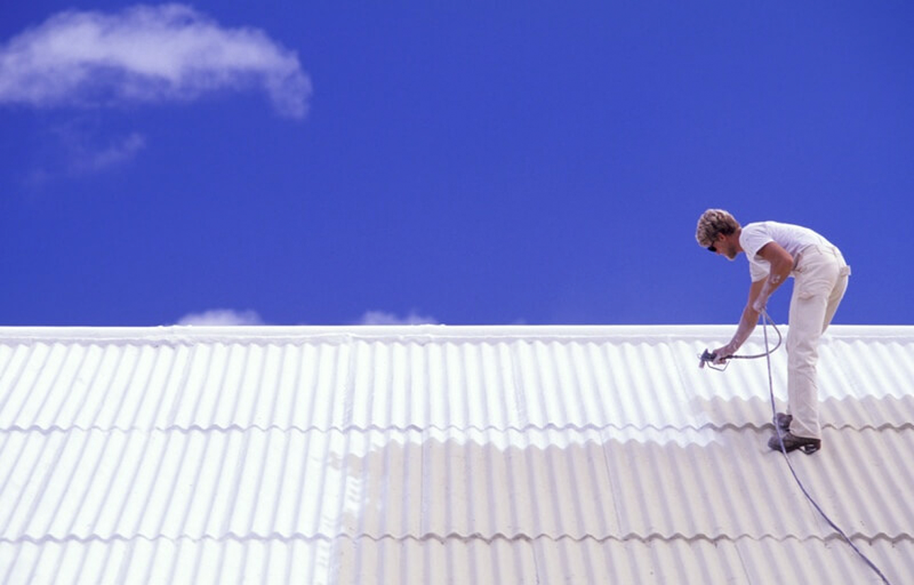 roof-painting-cost