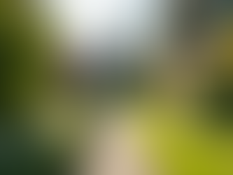 Discover the Power of Healing at Lighthouse Center