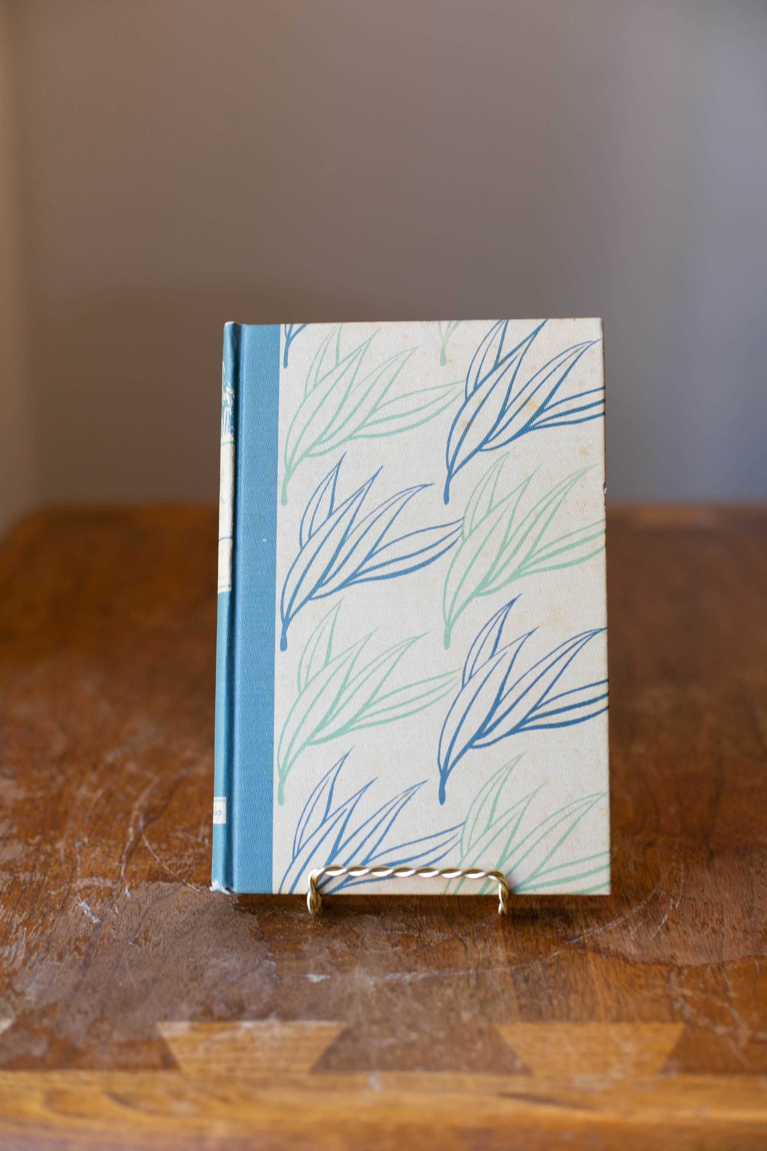 Vintage Illustrated Jungle Book