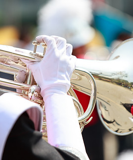 Horn Section