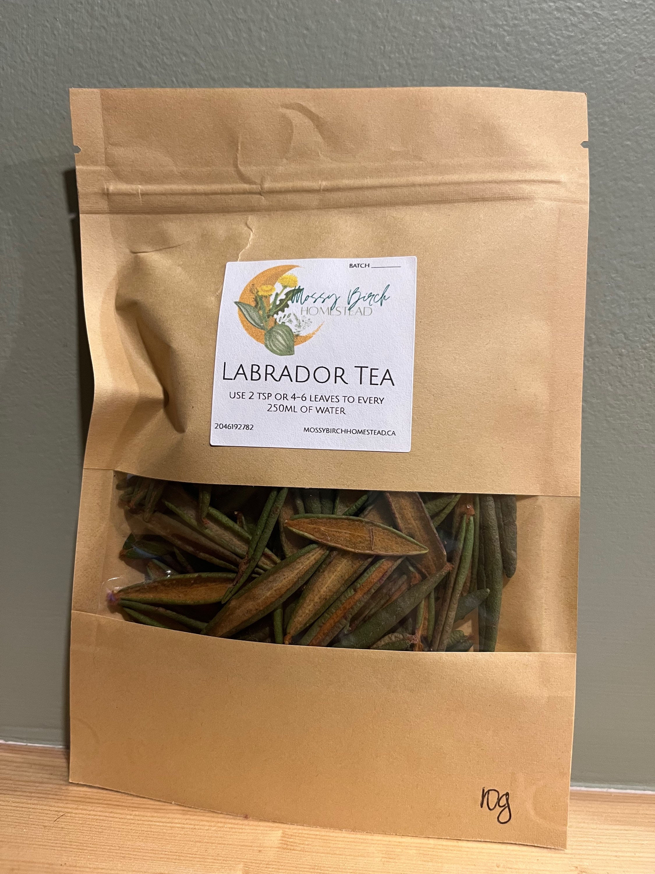 Labrador Tea