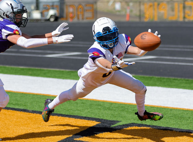 The Nutritional Struggles of Young Athletes and the Need for Better Health Solutions