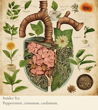 Screenshot 2025-11-23 at 4.24.35 PM.png