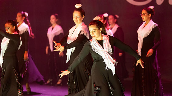 Elibre-709.jpg