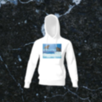 ICE AGE Hoodies