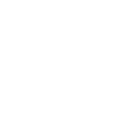 TICKET-BLANCO.gif