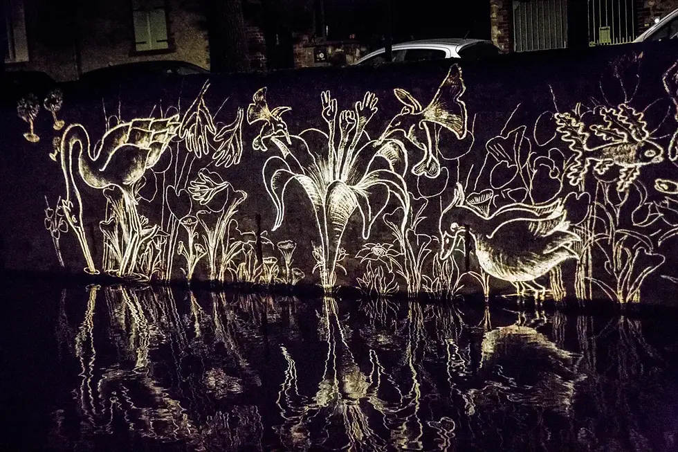 lumieres-chartres-riviere-eure