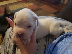 66826553_10216030031518385_7775187799984