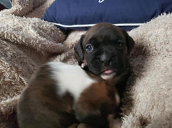 64757334_10216035212607909_3941202294506