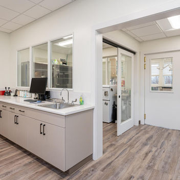 Veterinary workspace with sink, computer, and glass doors leading to the exam area – Buchanan Commercial Construction, Asheville.
