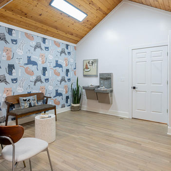 Waiting area with cat-themed wallpaper, wooden ceiling, and modern seating at Vista Falls Veterinary Hospital – Buchanan Commercial Construction, Asheville.
