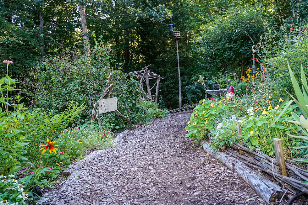 Walking path