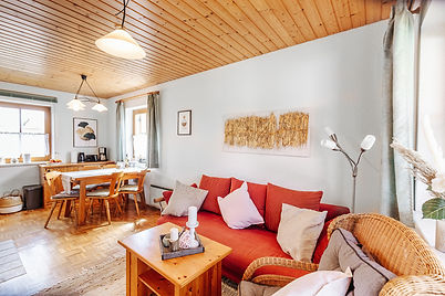 ferienhaus-nora-klopeiner-see-apartment-hanna-wohnbereich.jpg