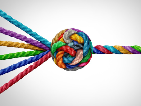 Restoring the Connection Between Principles and Practices: The J.E.D.I. Leader’s Mission