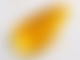 should I use hair oil on wet or dry hair