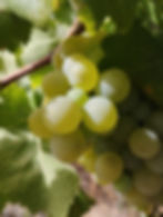 most natural Catalunya