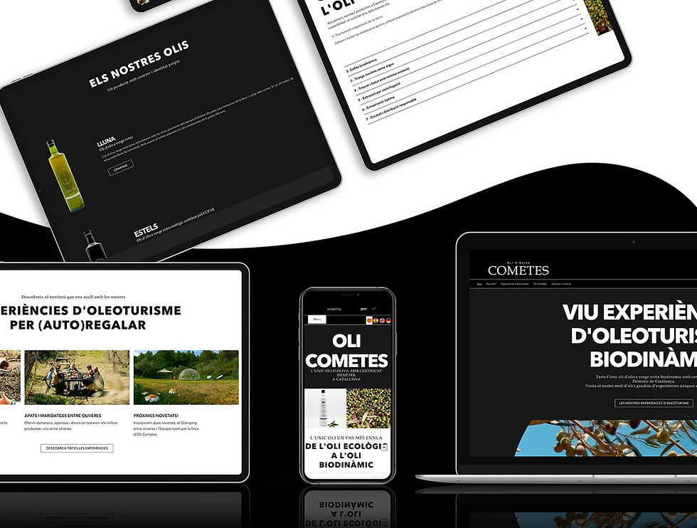 Captura de pantalla 2025-12-23 172219.png