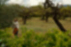 finca ecològica Alt Camp