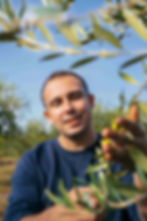 Oli d'en Sergi - Oli d'oliva verge extra