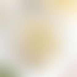 urte og hvitløkssaus med kalkunkraft hardanger