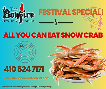 Festival Special!.png