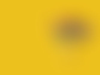 Sweet Traditions: Why Sugar Skull Candy Is a Mexican Favorite