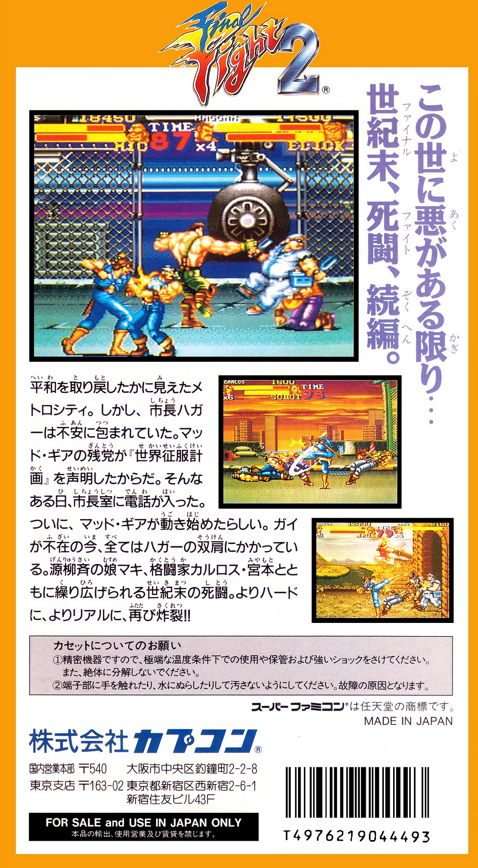 Final FIght 2 Back side box