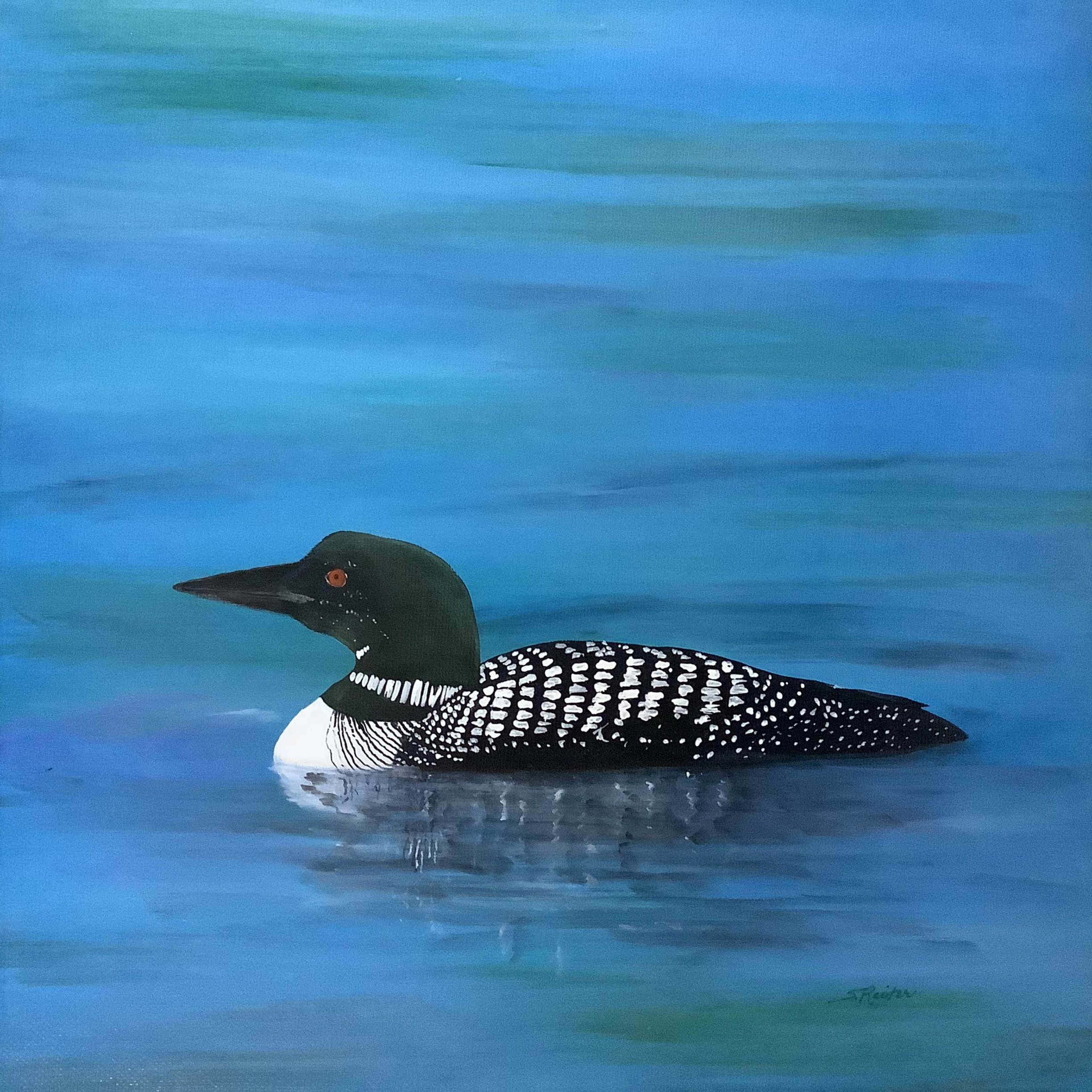 Silence (Loon), 12x12"