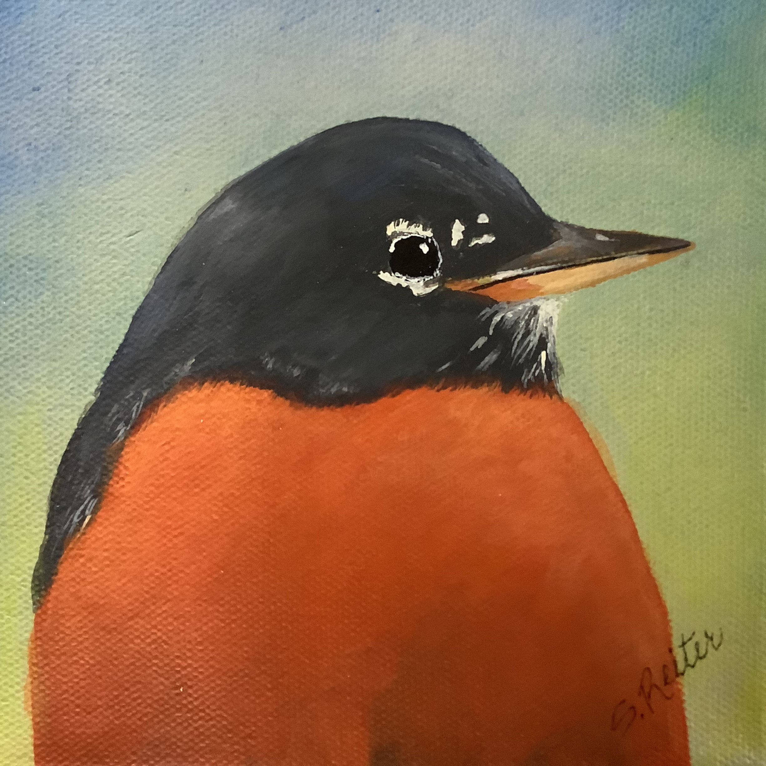 Robin Hood Junior, 6x6"