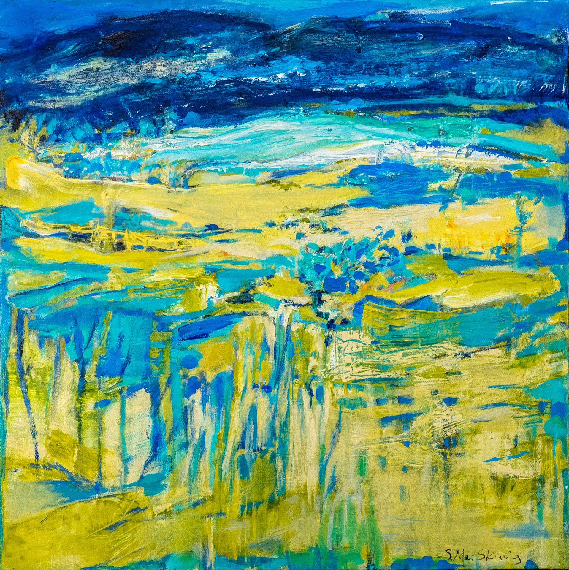 This Land is Our Land     20x20