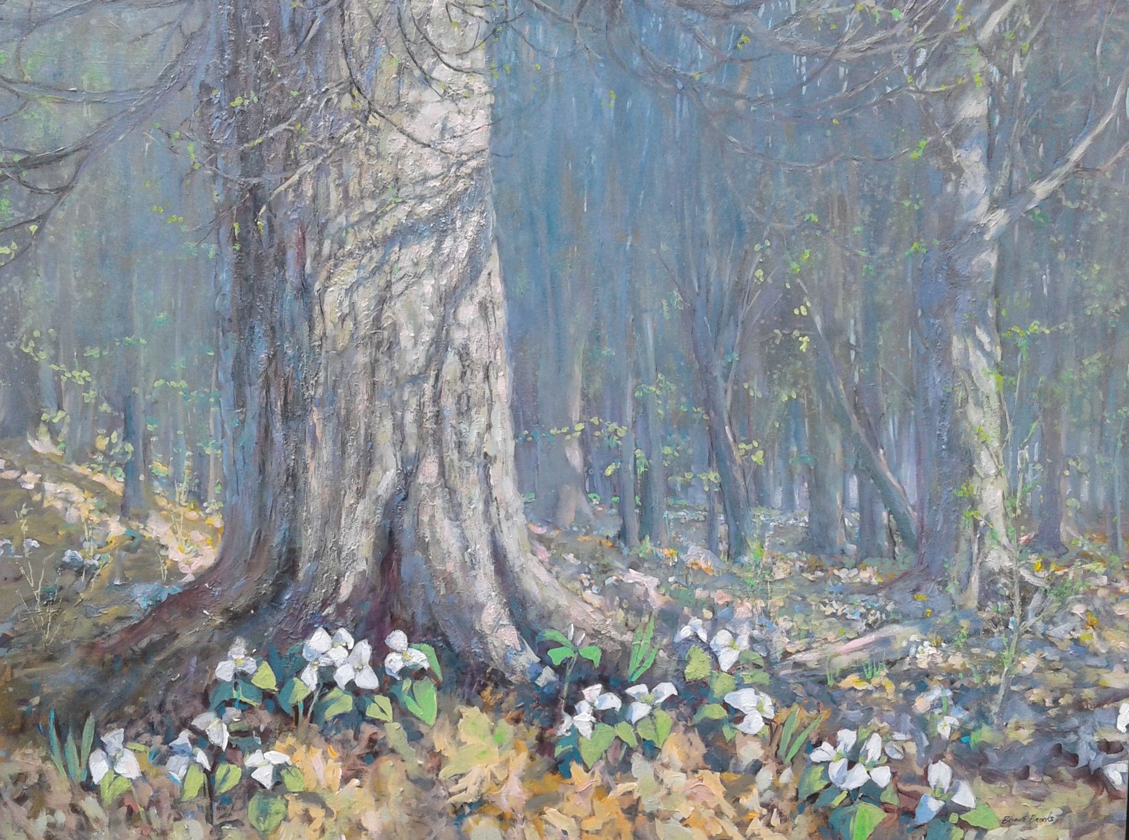 Trillium Woods-40" x 30"