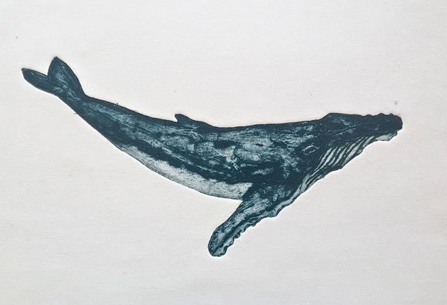 Humpback Calf